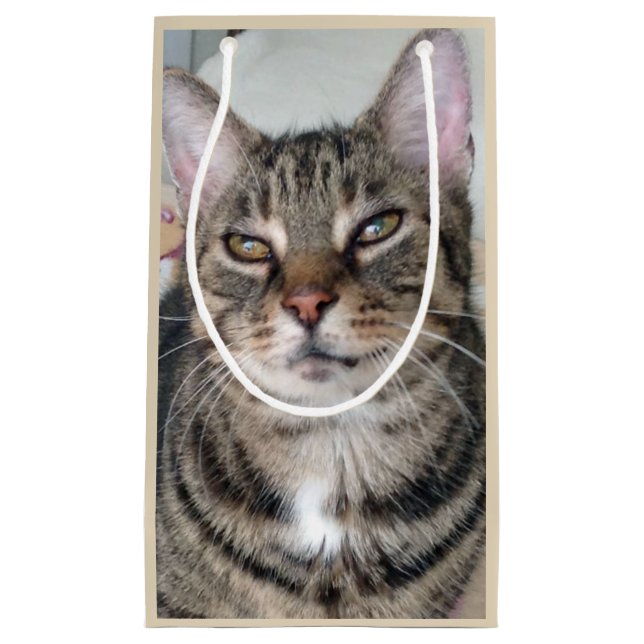 Adorable Tabby Cat Foto Geschenktasche Kleine Geschenktüte (Vorderseite)