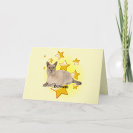 Adorable Tan Burmese Katze in den Sternen Karte