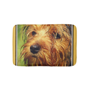 Adorable Terrier Dog mit nassem Gesicht Badematte