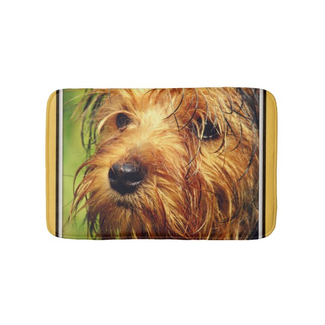 Adorable Terrier Dog mit nassem Gesicht Badematte (Vorderseite)