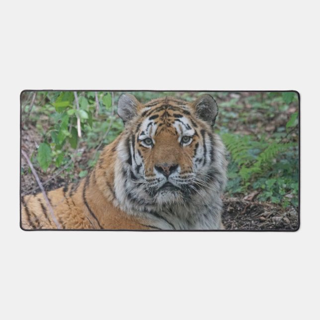 Adorable Tiger Schreibtischunterlage (Vorderseite)