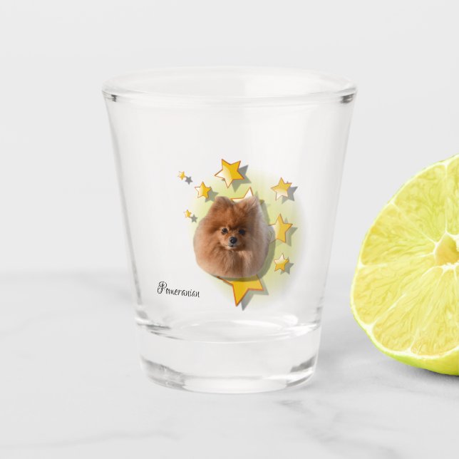 Adorable Tiny Red Spitz ist ein Star Schnapsglas (Vorderseite)