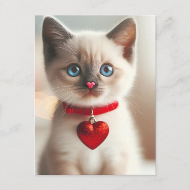 Adorable Valentine Kitten mit Herz auf Collar Postkarte (Vorderseite)