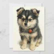 Adorable Watercolor Pomchi Puppy 