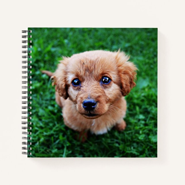 Adorable Welpe auf dem Rasen Foto Notizbuch (Vorderseite)