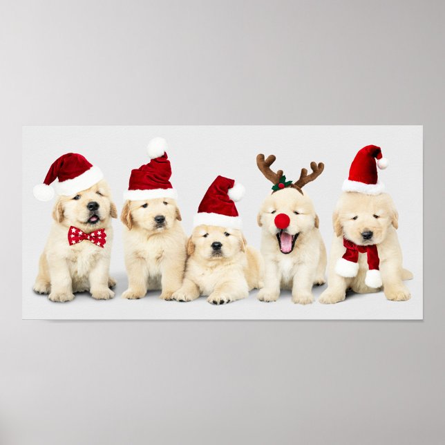 Adorable Welpen Poster (Festive dogs' ready for the Christmas Holiday!)