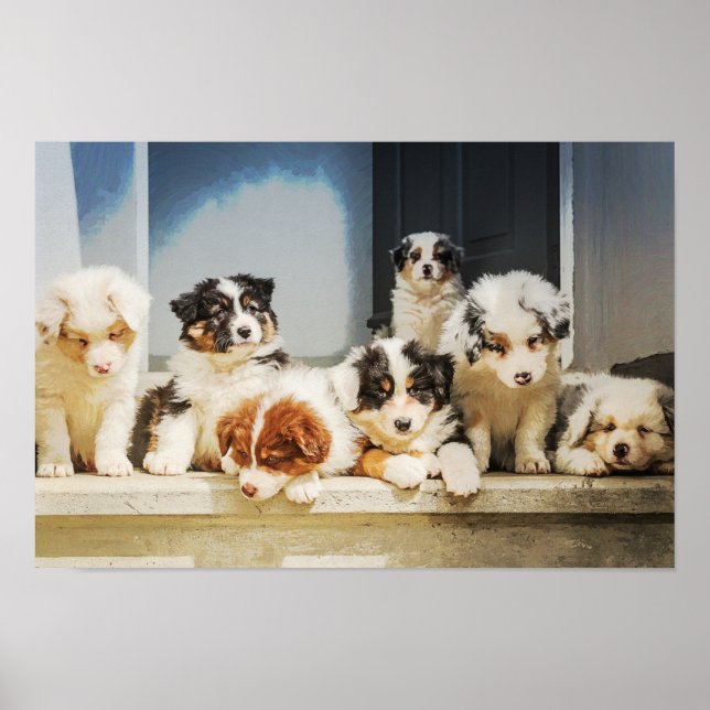 Adorable Welpen Poster (Vorne)