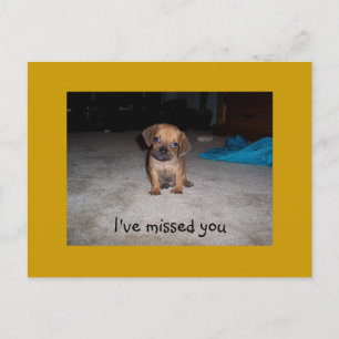 Adorable Welpenaugen Postkarte