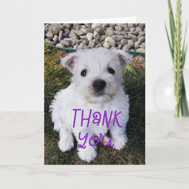 Adorable Westie Puppy Foto Danke Karte (Vorderseite)