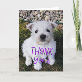 Adorable Westie Puppy Foto Danke Karte