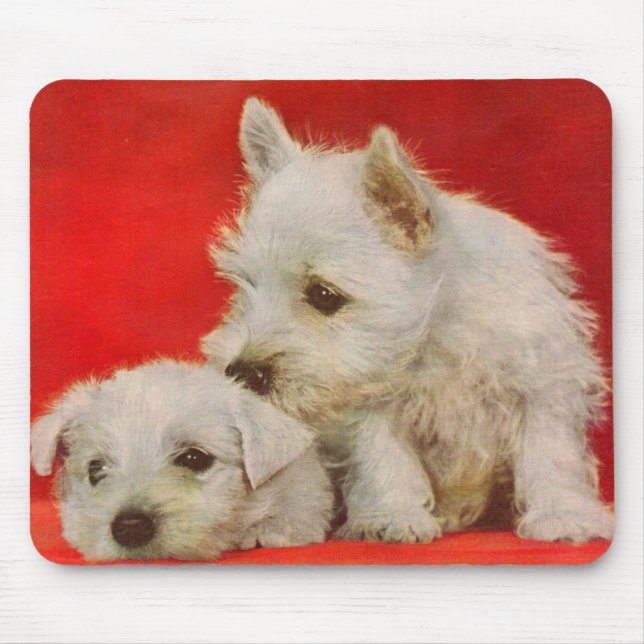 adorable white terrier puppies mousepad (Vorne)