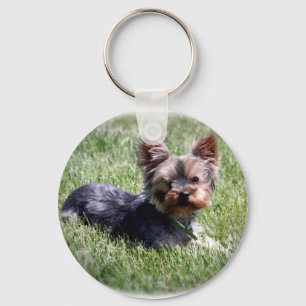 Adorable Yorkie Schlüsselanhänger