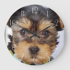 Adorable Yorkshire Terrier Große Wanduhr