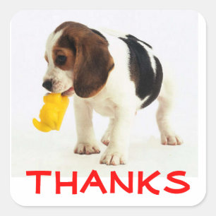 Adorables Stickers de Remerciement Chien Beagle