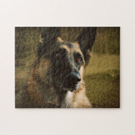 Adoroing Schäferhund-Foto