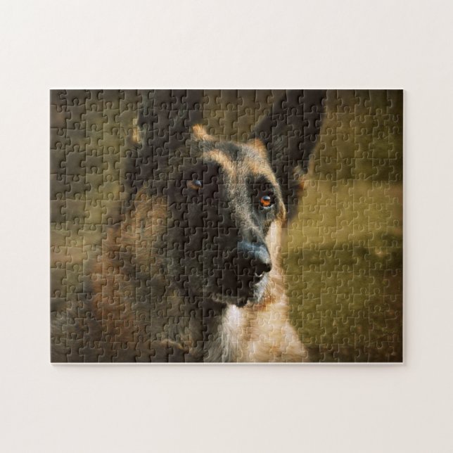 Adoroing Schäferhund-Foto (Horizontal)
