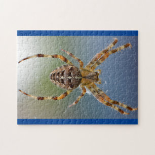 Adortable Arachnid Spider Foto Puzzle