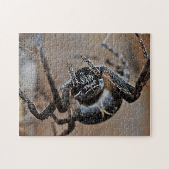 Adortable Arachnid Spider Macro Foto Puzzle (Horizontal)