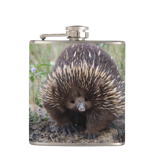 Adortable australische Echidna Flachmann (Vorderseite)