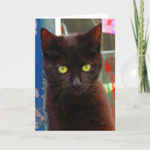 Adortable Black Cat Card Karte