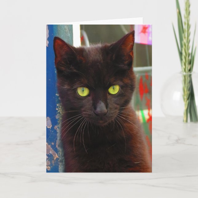 Adortable Black Cat Card Karte (Vorderseite)