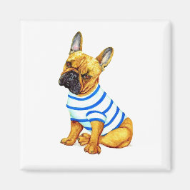 Adortable French Bulldog Puppy in einem Shirt Magn Magnet