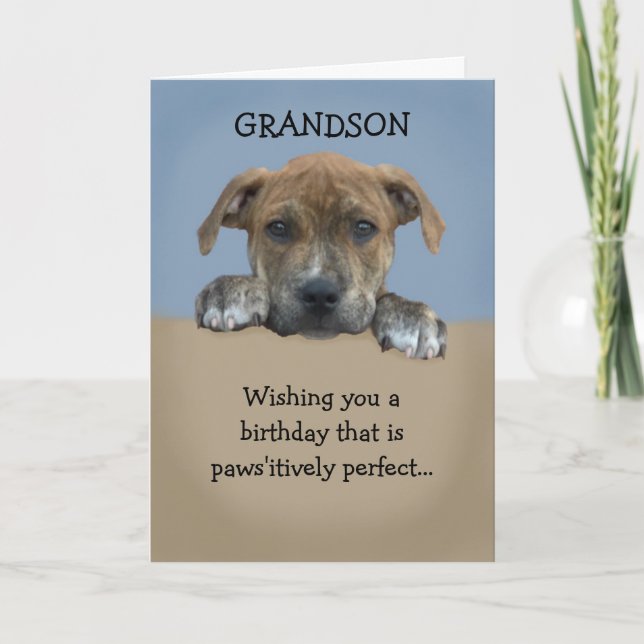Adortable Grandson Birthday Card Karte (Vorderseite)
