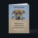 Adortable Grandson Birthday Card Karte<br><div class="desc">Adorable Enkelson Geburtstagskarte,  die mit Ihrer personalisierten Nachricht anpassbar ist.</div>