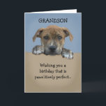 Adortable Grandson Birthday Card Karte<br><div class="desc">Adorable Enkelson Geburtstagskarte,  die mit Ihrer personalisierten Nachricht anpassbar ist.</div>