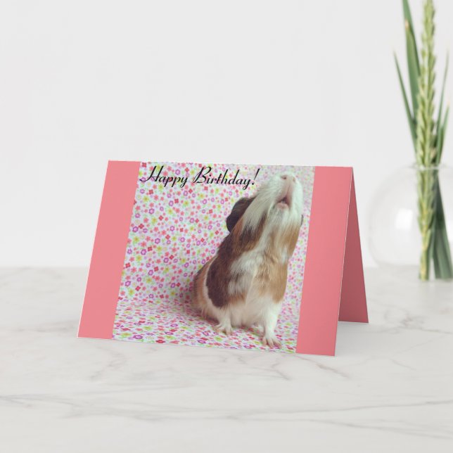 Adortable Guinea Pig Geburtstagskarte Karte (Vorderseite)