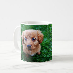 Adortable Puppy Foto Kaffeetasse