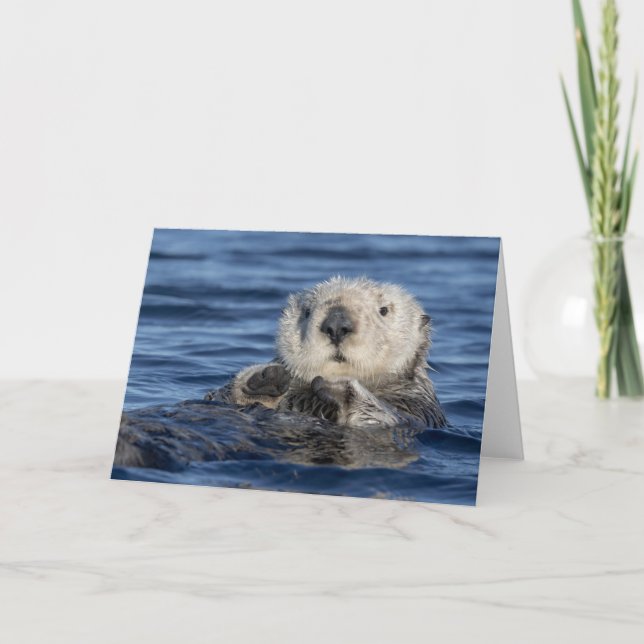 Adortable Sea Otter Card Karte (Vorderseite)