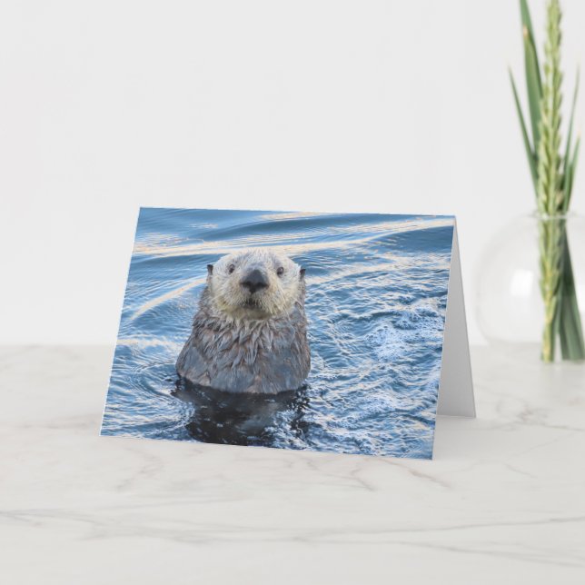 Adortable Sea Otter Flüchtigen Blicke Karte (Vorderseite)
