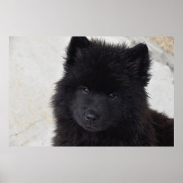 Adortable Welpe Poster