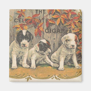 Adortable Welpen Vintage Zigarre Magnet