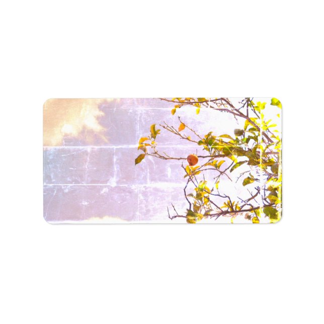 ADRESSE ETIKETTEN COOL ECO STYLE ESIGN ADRESSAUFKLEBER (Vorne)