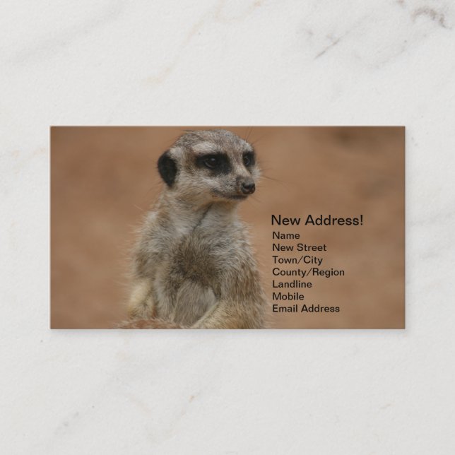Adressenänderung Karten - Meerkats (Vorderseite)