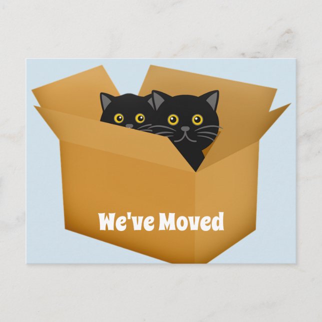 Adressenänderung Katzen-Postkarte Ankündigungspostkarte (Vorderseite)