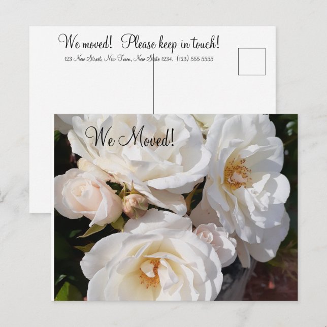 Adressenänderung Romantic Rose Postkarte (Vorne/Hinten)