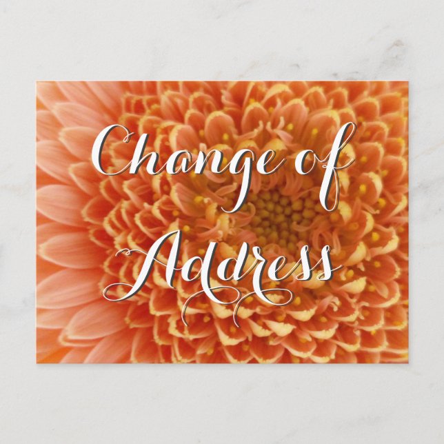 Adressenwechsel mit Blumenfotografie Ankündigungspostkarte (Vorderseite)
