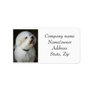Adressetiketten Bichon Frise