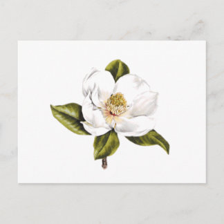 Adresswechsel Postkarten - Set von 25