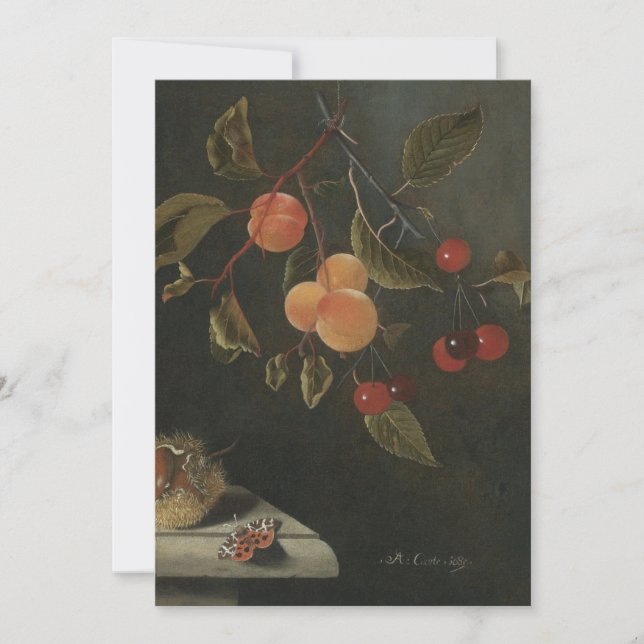 Adriaen Coorte - Stillleben mit Schmetterling, Apr Einladung (Vorderseite)