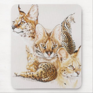 Adroit Mousepad