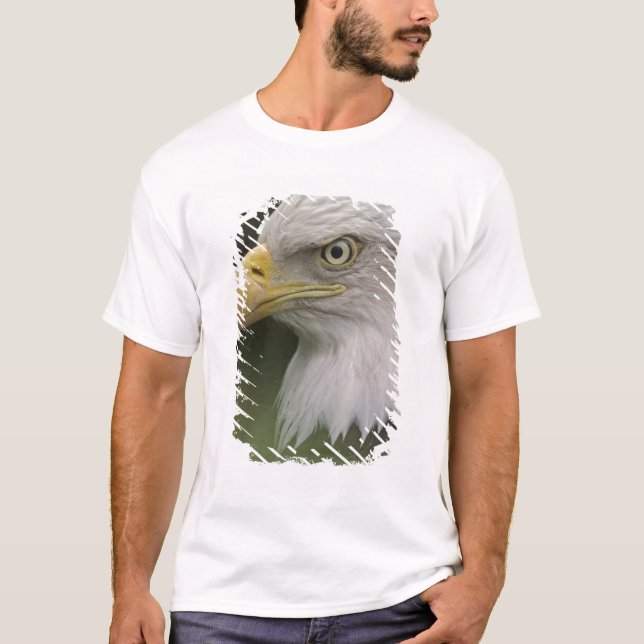 Adult Bald Eagle Portrait, Haliaeetus T-Shirt (Vorderseite)