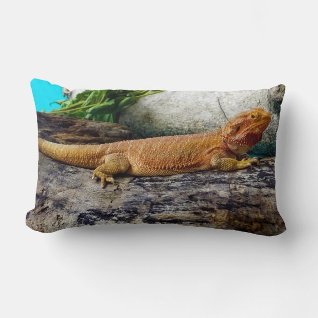 Adult Bearded Dragon Lizard Lendenkissen (Vorderseite)