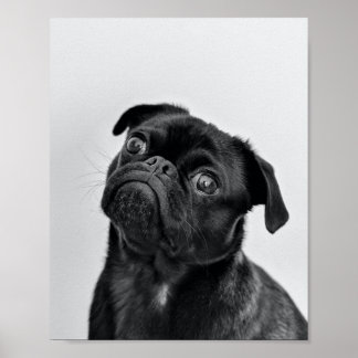 Adult Black Mops Poster