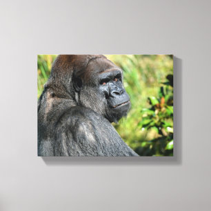Adult Gorilla Leinwanddruck