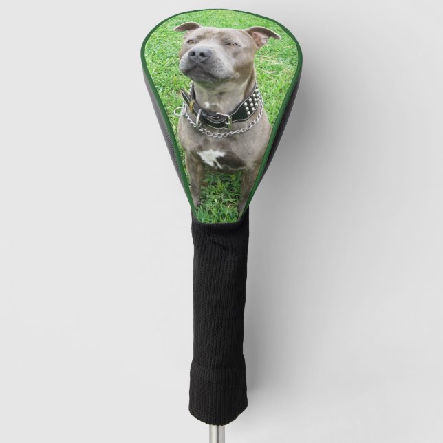 Adult Staffordshire Bull Terrier Golf Driver Cover Golf Headcover (Vorderseite)