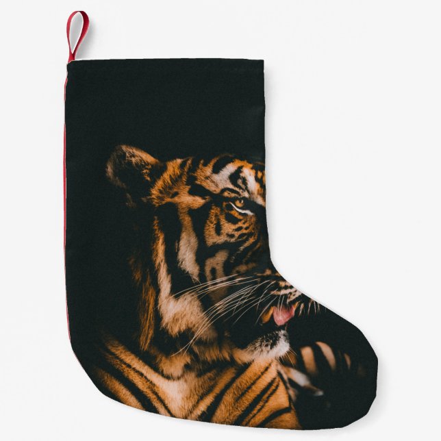 ADULT TIGER PRONE LYING INSIDE DIM LIGHTED ROOM KLEINER WEIHNACHTSSTRUMPF (Vorderseite)
